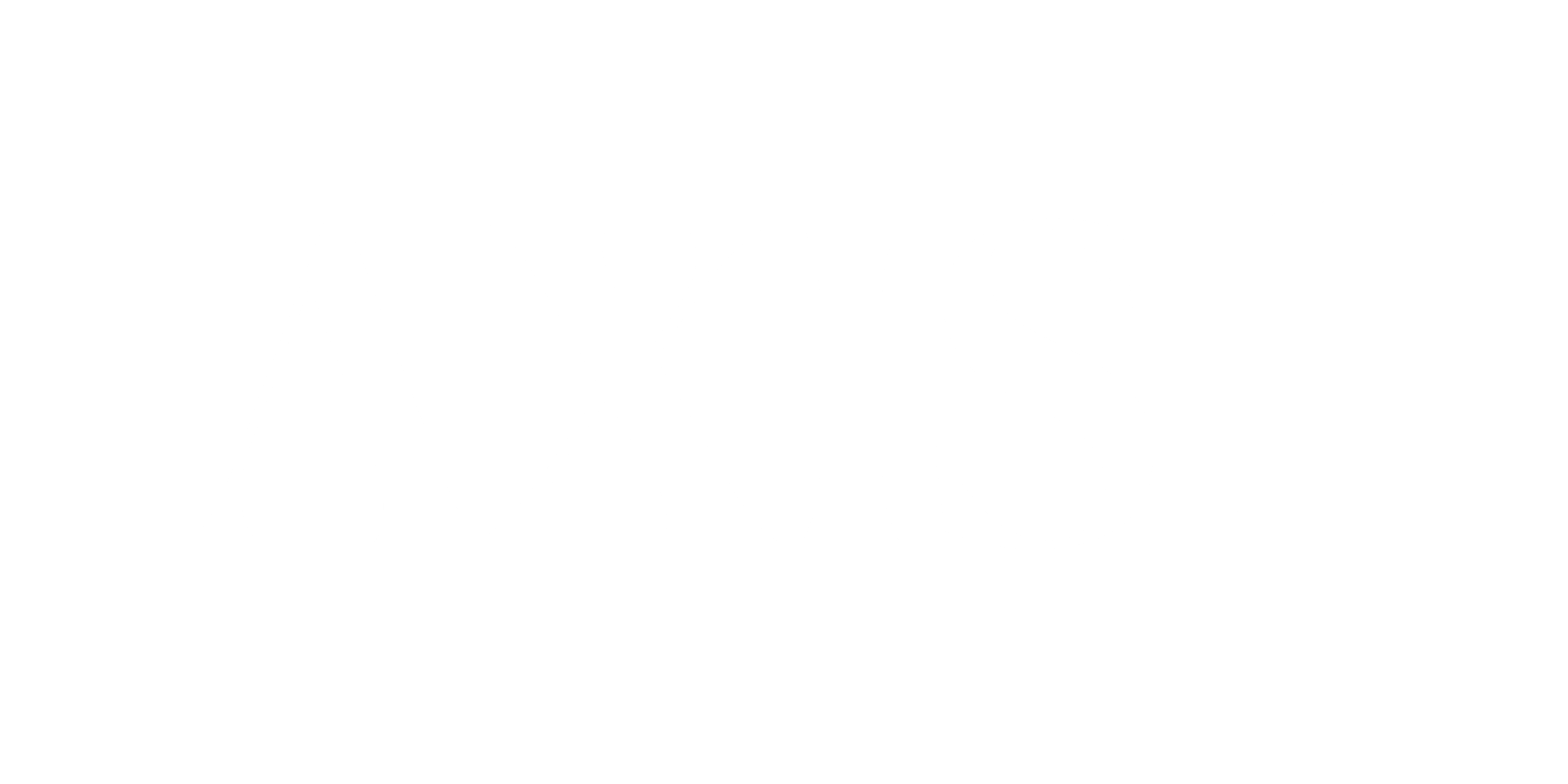 AXISÉ - PIVOTAL AND SMART SYSTEMS